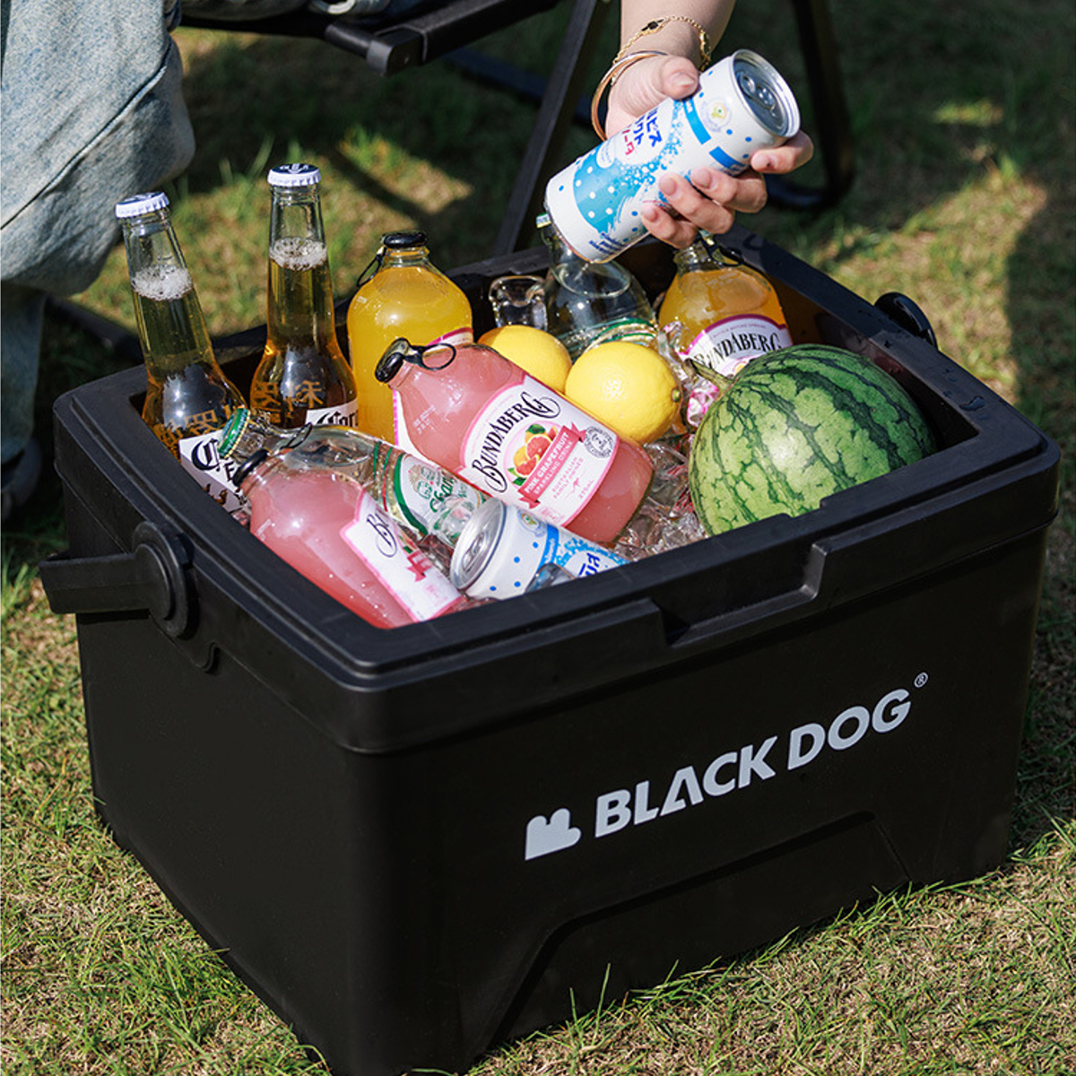Blackdog Portable Cooler Box Ice Box 13L 25L Outdoor Camping Picnic ...