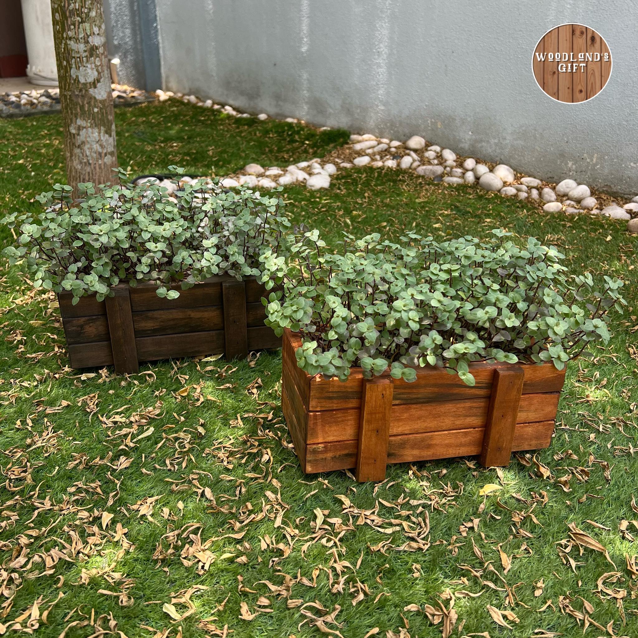 Small size SOLID WOOD Flower Pot/ Pasu Bunga Kayu Solid (2 colors to ...