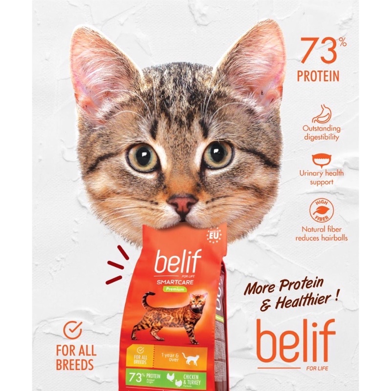 Belif cat food best sale