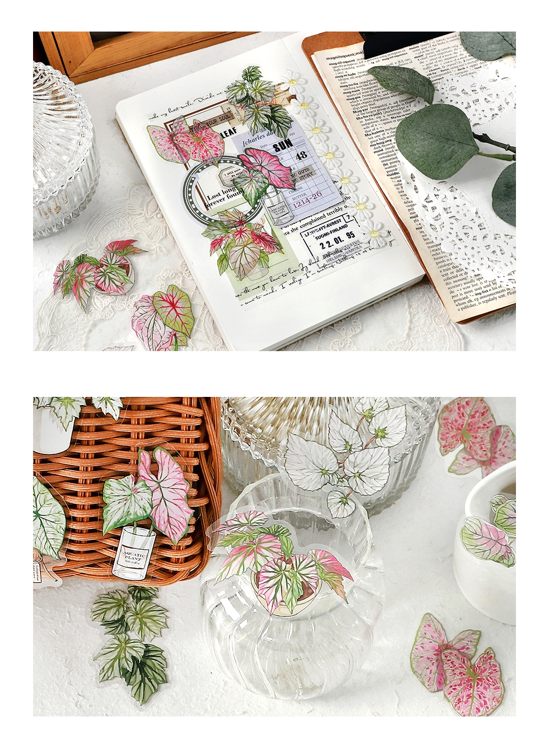 IFM INS Green Plant Research Centre Series Deco Stickers Botanical ...