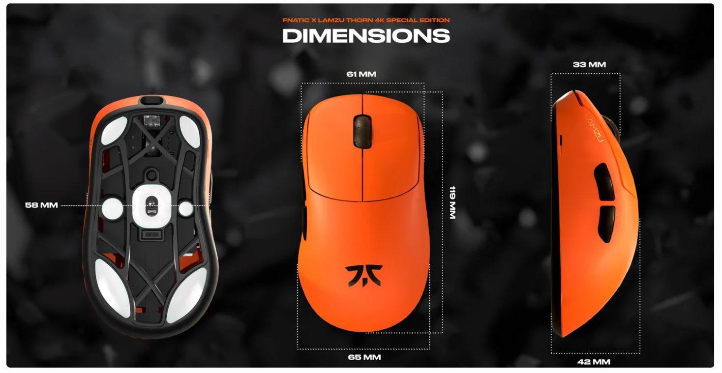 (AONE PLUS SS2) Fnatic Gear x LAMZU Thorn Wireless Mouse - Fnatic ...