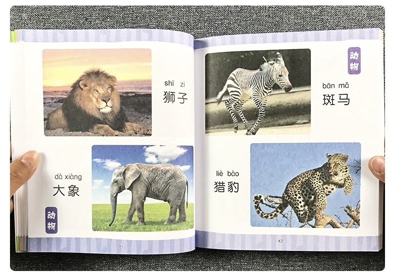 童眼识天下【认物大全 】大字注音 认动物水果蔬菜形状颜色标志幼儿童早教启蒙看图识字 Children Chinese Character ...