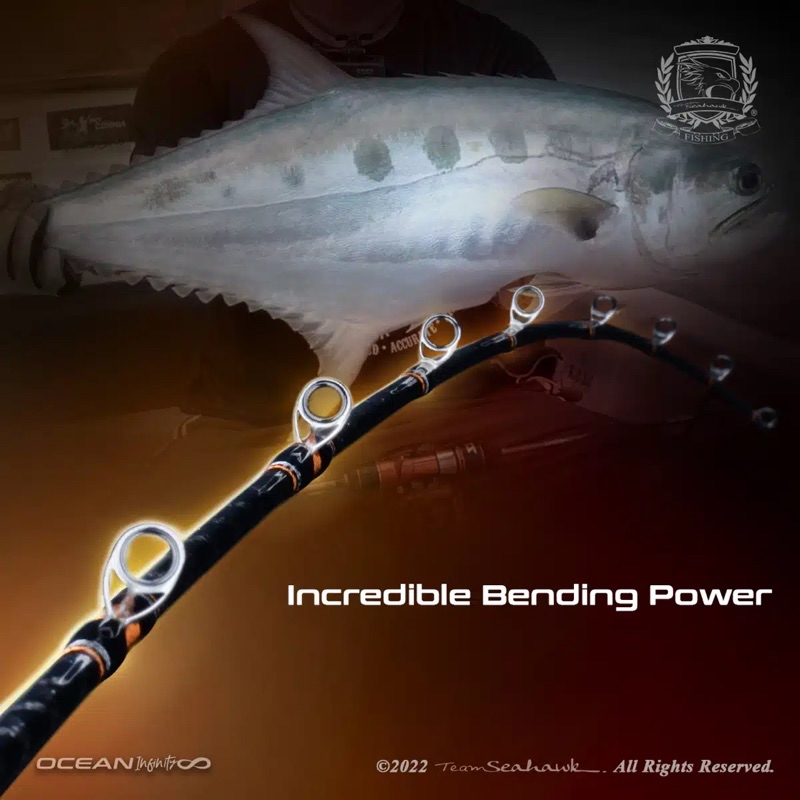 Team Seahawk Ocean Infinity ♾️ Overhead & Spinning Jigging Rod Slow ...