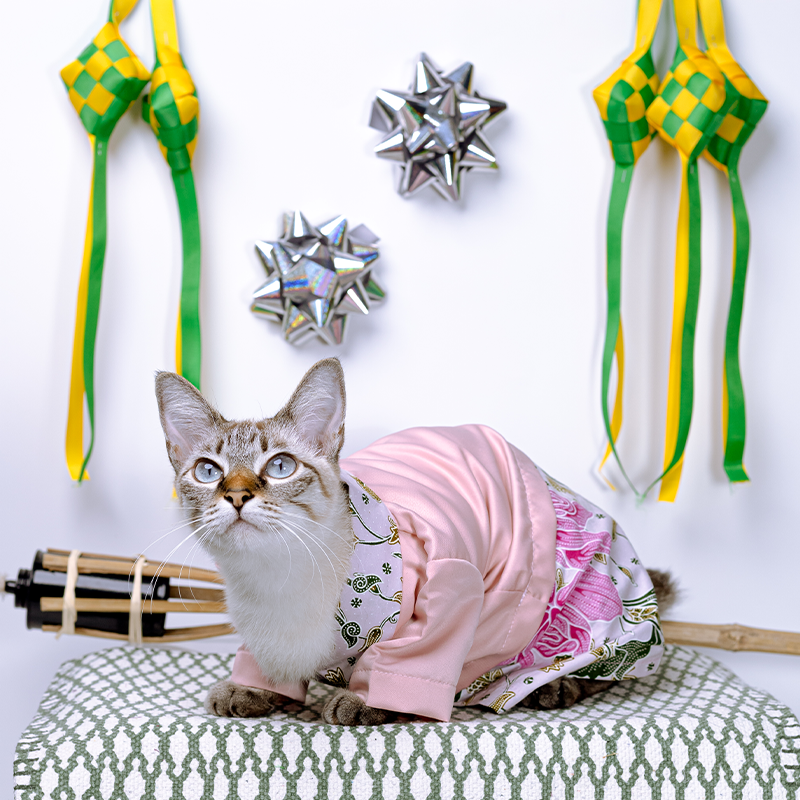 [BUATAN MAS] Pink Premium Baju Kebaya Kucing Baju Melayu Baju Raya ...