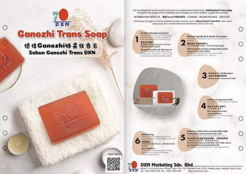PC073DXN Ganozhi Trans Soap & Oocha Trans Soap1 bar x 120g | Shopee ...