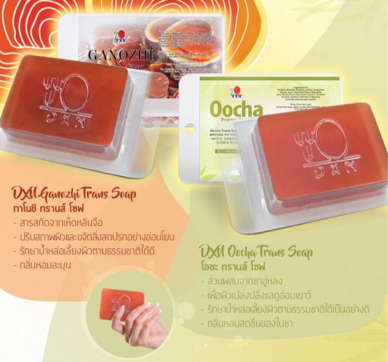 PC073DXN Ganozhi Trans Soap & Oocha Trans Soap1 bar x 120g | Shopee ...