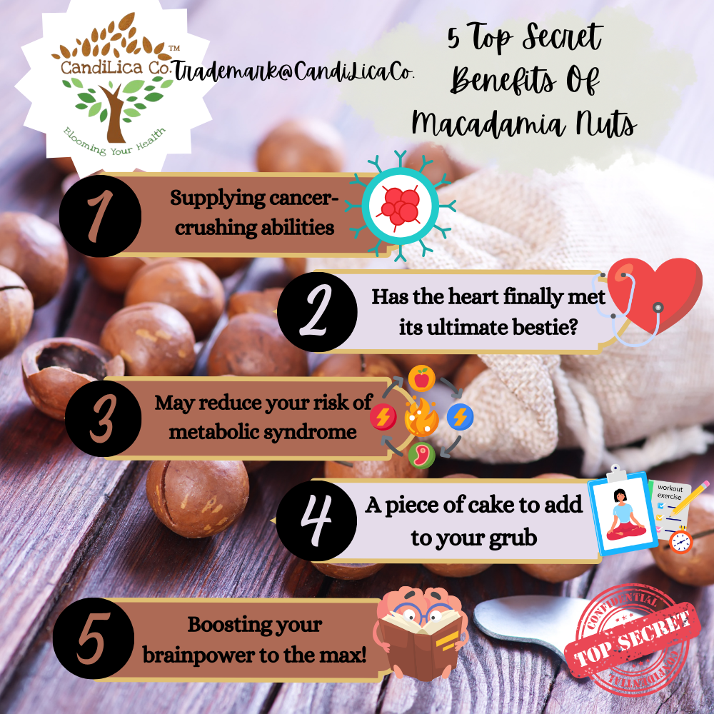 Roasted Macadamia In Shell | Kacang Macadamia Dalam Kulit | 烘烤夏威夷果 ...