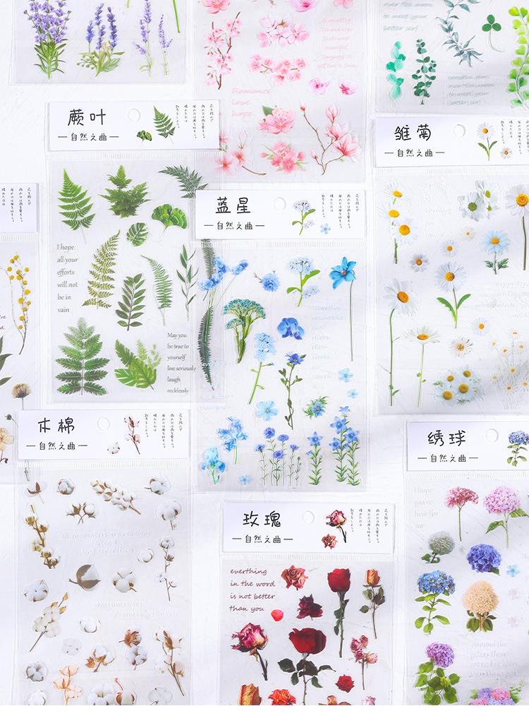 Whitespace 1pcs Real Flower Transparent Sticker Journal Natural Sticker ...