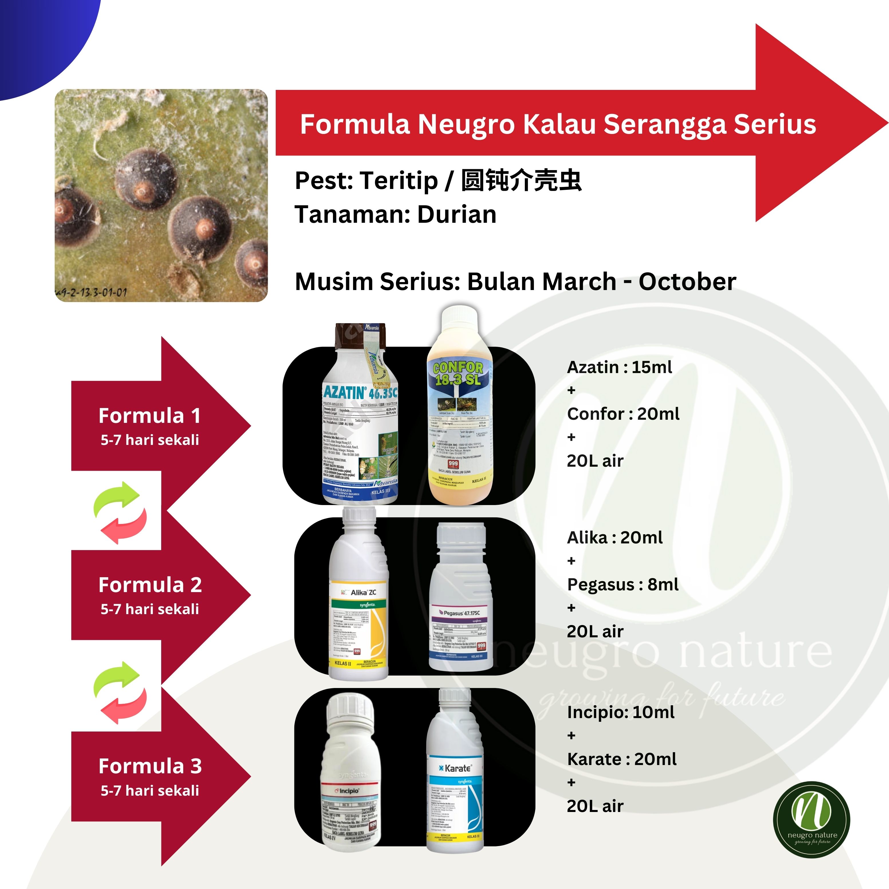 AZATIN 46.3SC (500ml) Buprofezin 46.3% - Racun Serangga Bena Perang ...