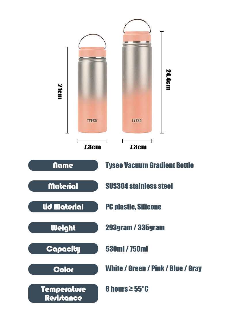 Tyeso New Gradient Thermos Tumbler 530/750ml With Free Pouch Double ...