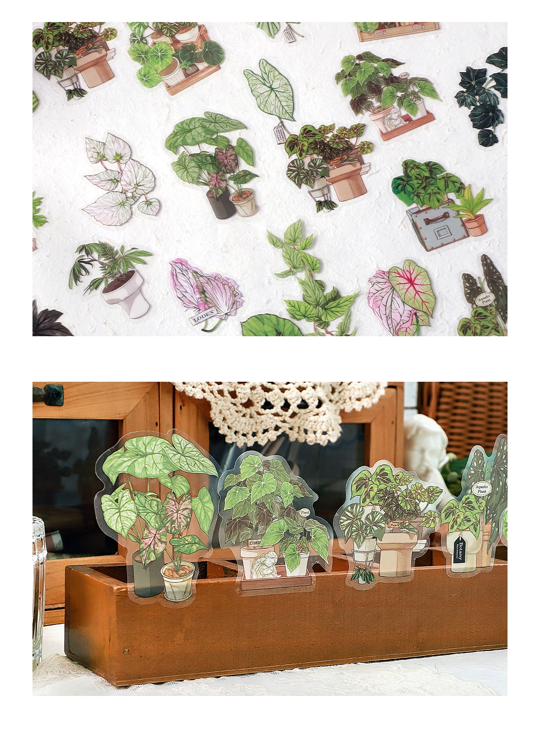 IFM INS Green Plant Research Centre Series Deco Stickers Botanical ...