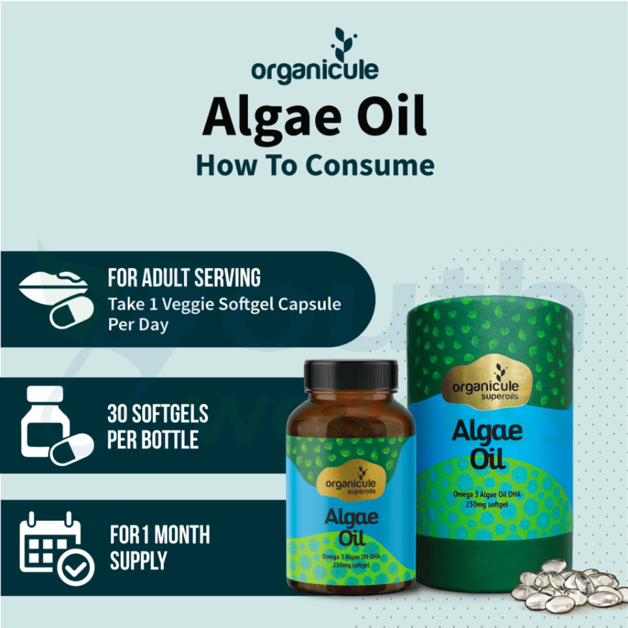 Organicule Algae Oil DHA 250mg | Omega 3 | Fish Oil Alternative | Toxin ...