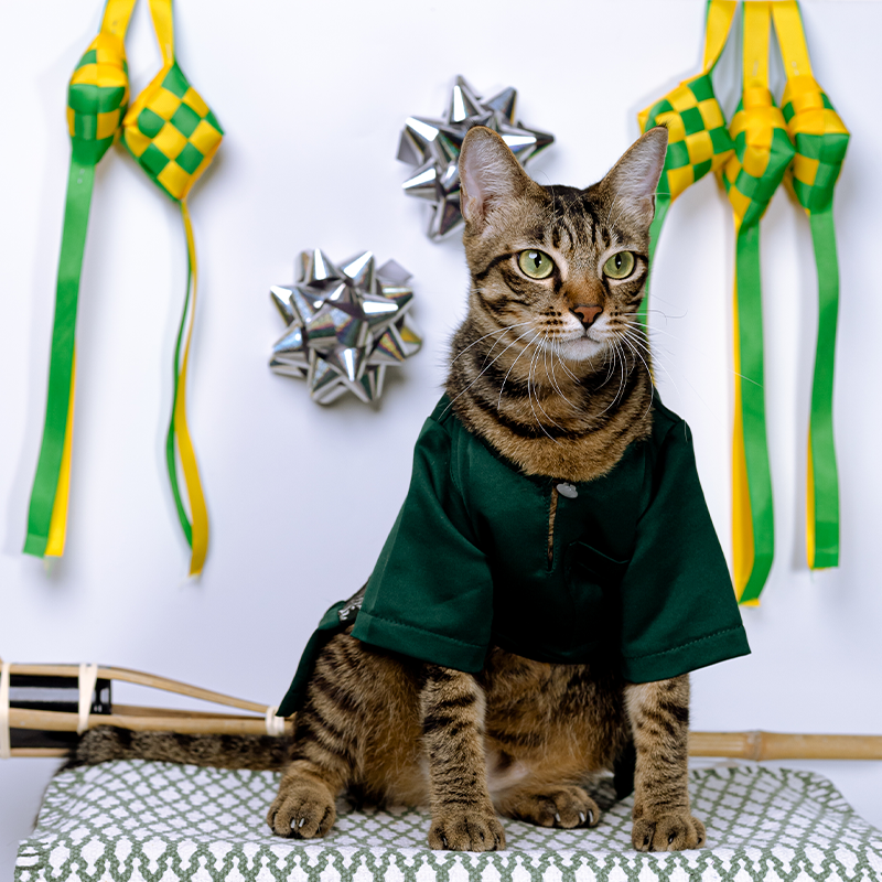 [BUATAN MAS] GREEN Premium Baju Melayu Kucing Baju Kurung Baju Raya ...