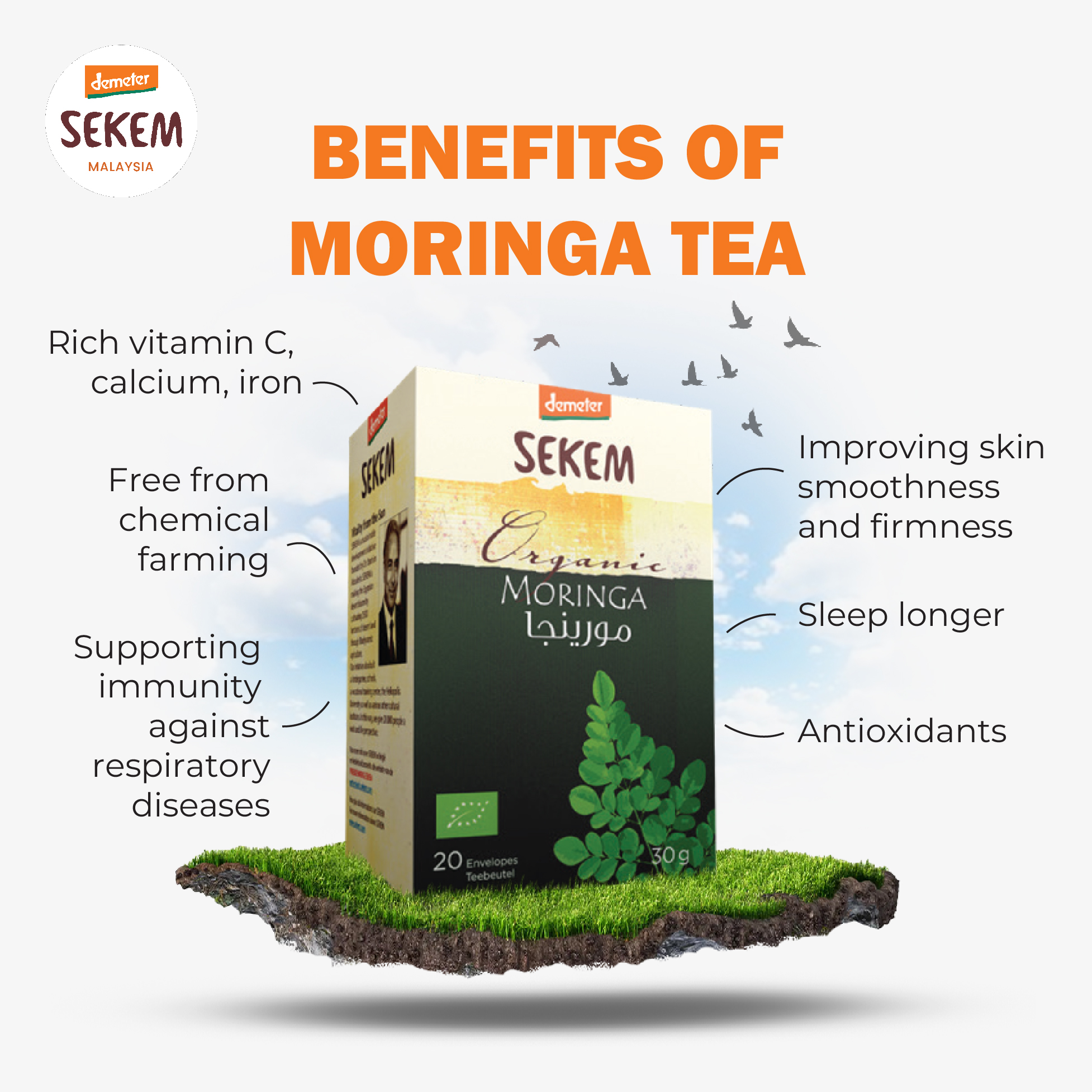 SEKEM DEMETER MORINGA TEA / (20 FILTER BAGS/BOX) | Shopee Malaysia