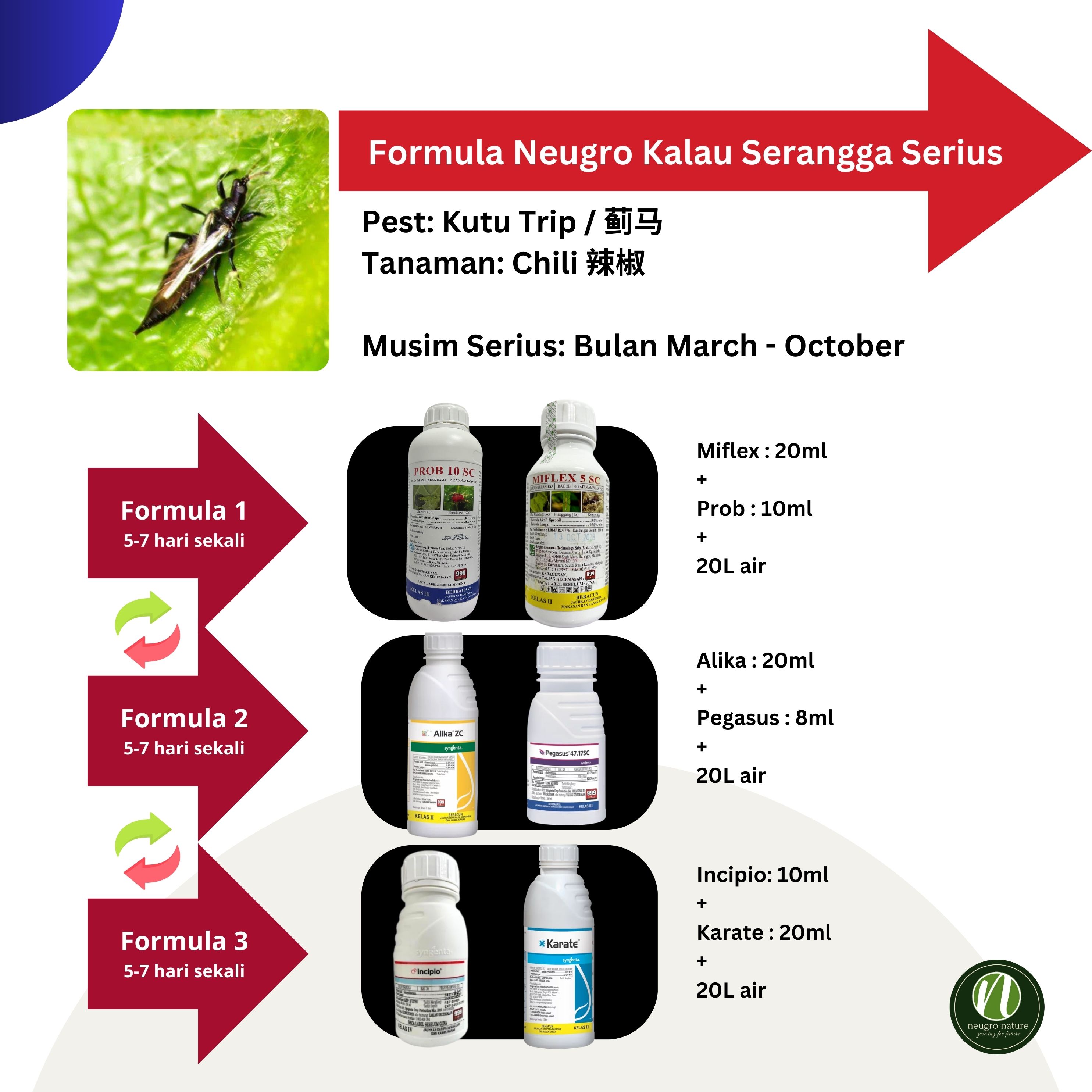 MIFLEX 5 SC Insecticide Generic Bayer REGENT Fipronil 5% - Racun ...