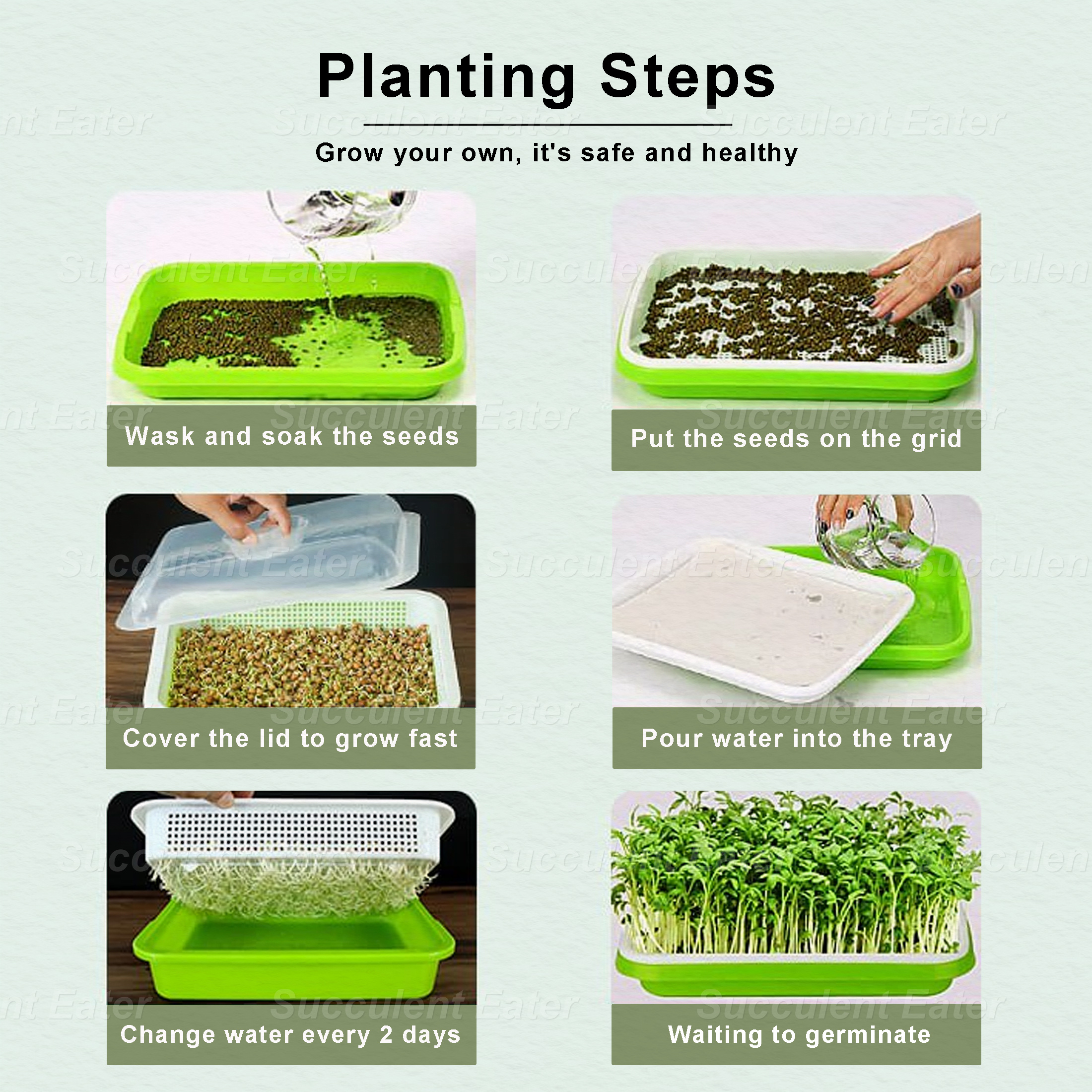Sprouting Tray Microgreen Tray Double Layer Cat Grass Seedling ...