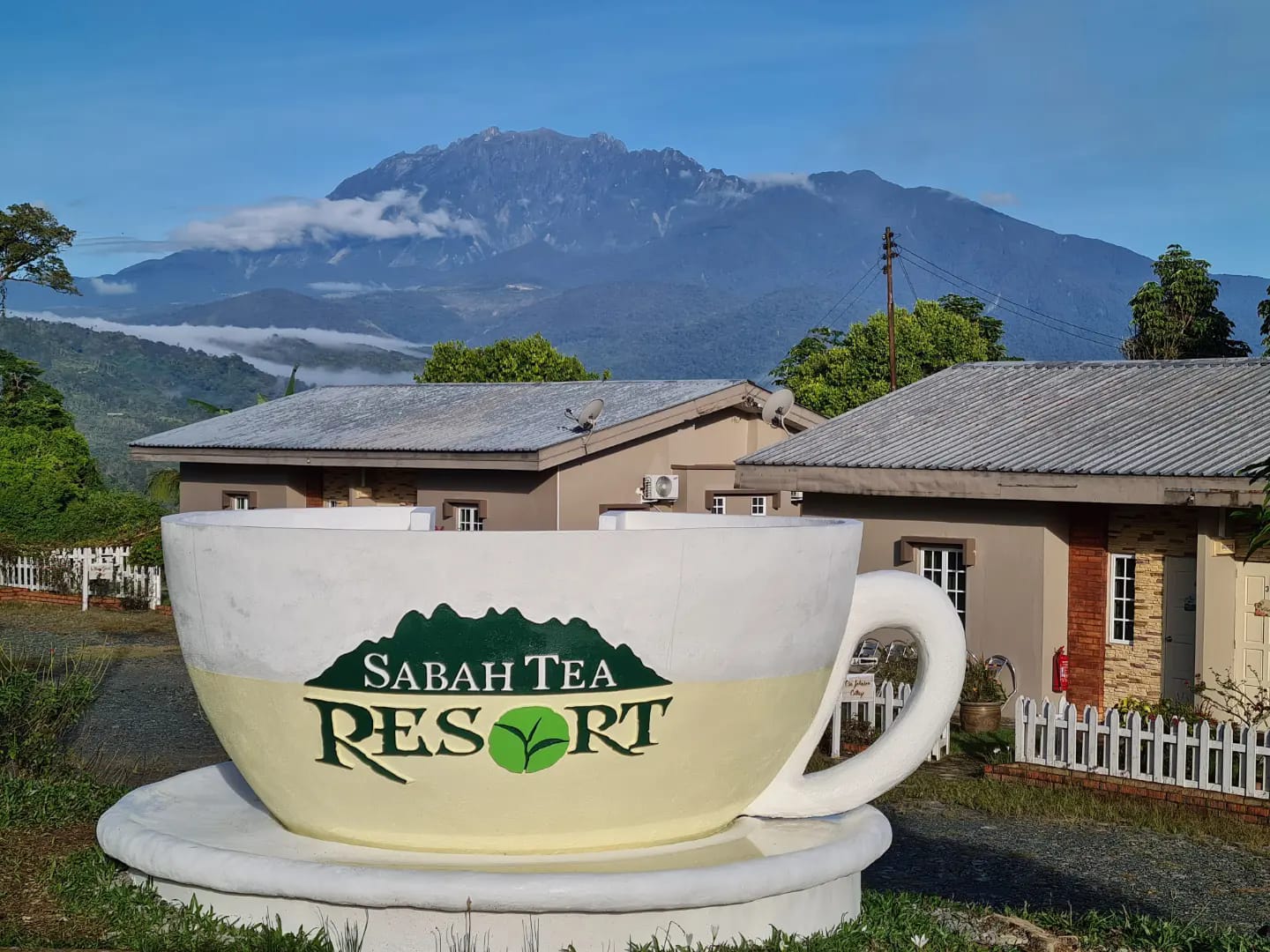 Sabah Tea Flavoured Loose Tea 50g 沙巴风味红茶散装茶50g | Shopee Malaysia