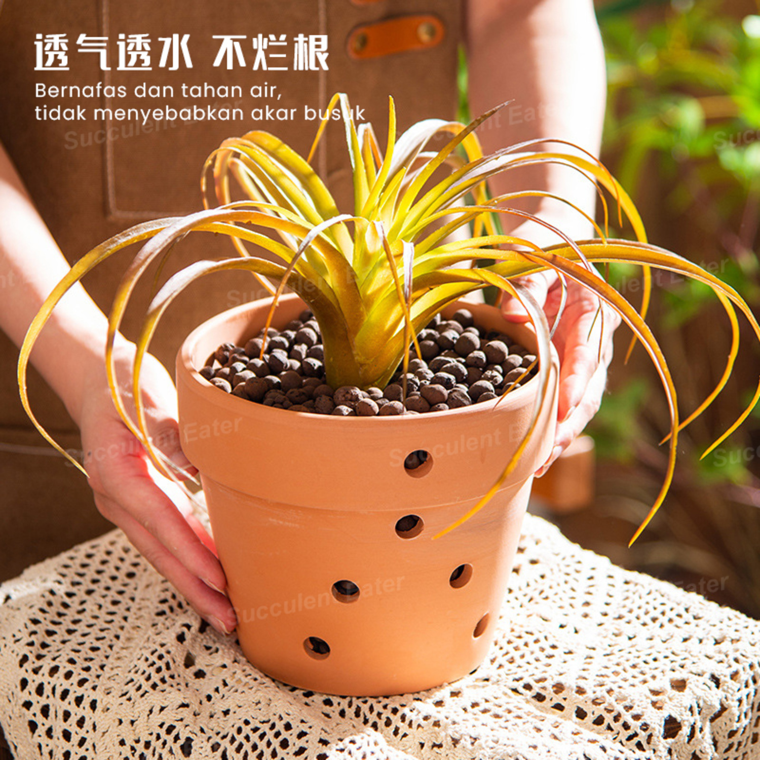 Terracotta Pot Ceramic Red Pottery Clay Pot Orchid Orkid Flower 红陶 兰花 ...