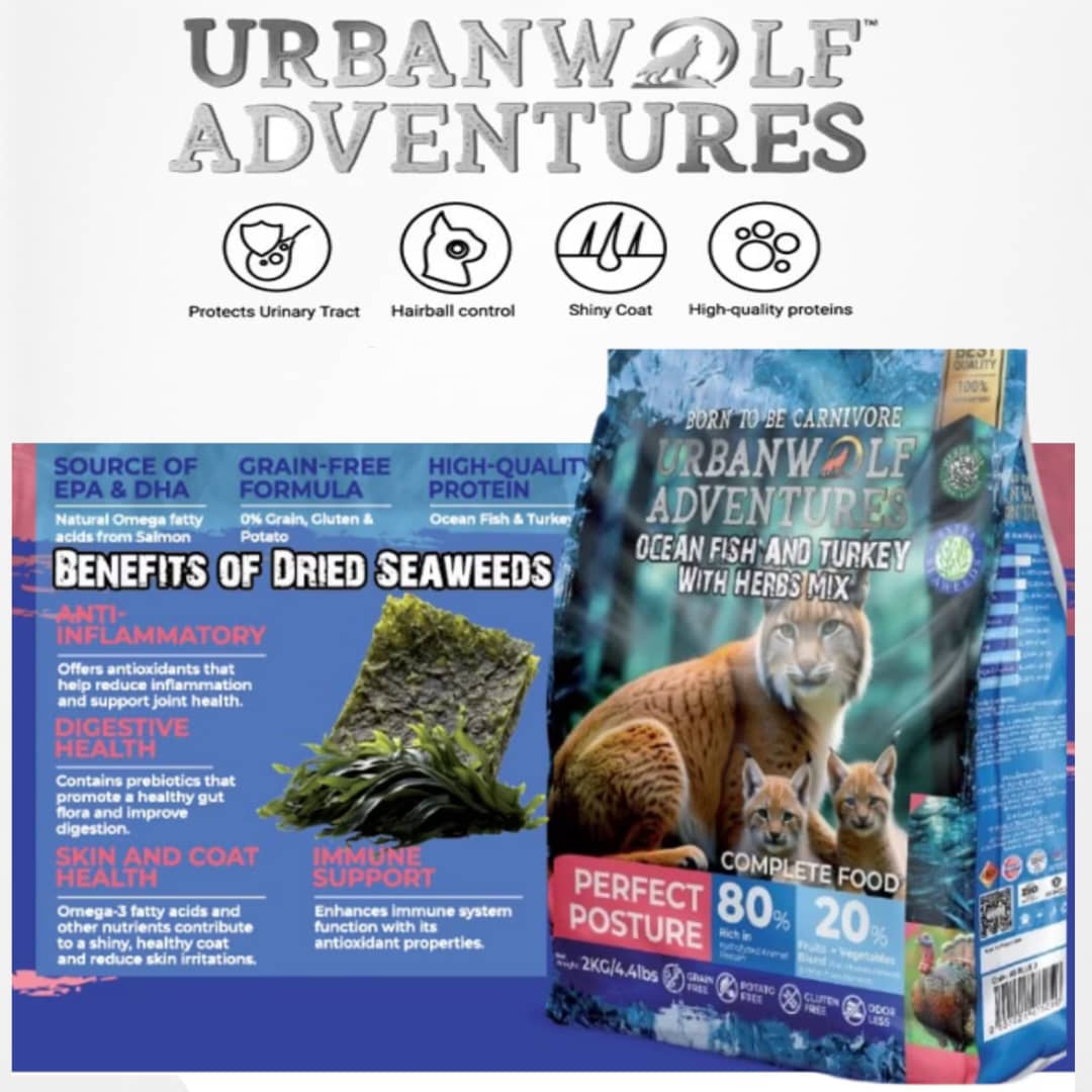 Urbanwolf Adventures 5KG Repack Grain Free (Ocean Fish /Salmon/ Turkey ...