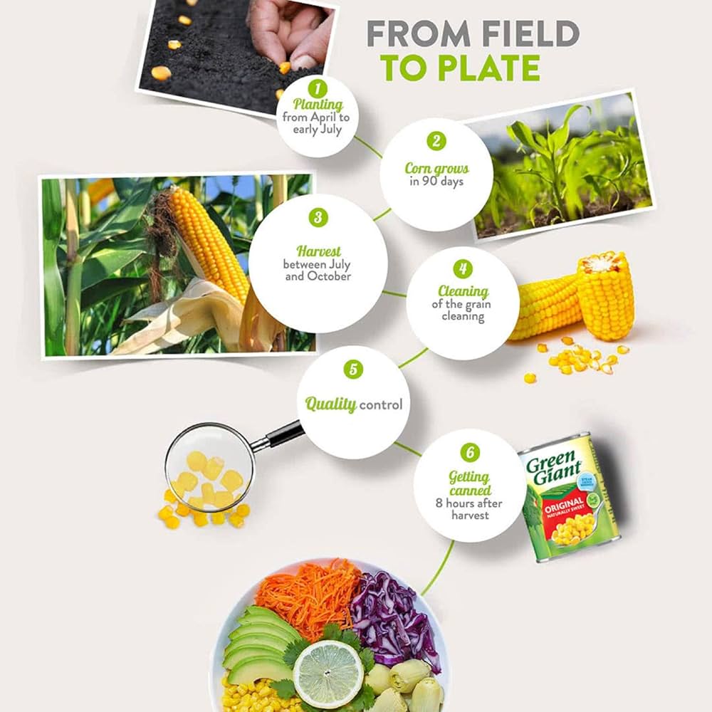 Green Giant Original Sweet Corn, 2 X 198g