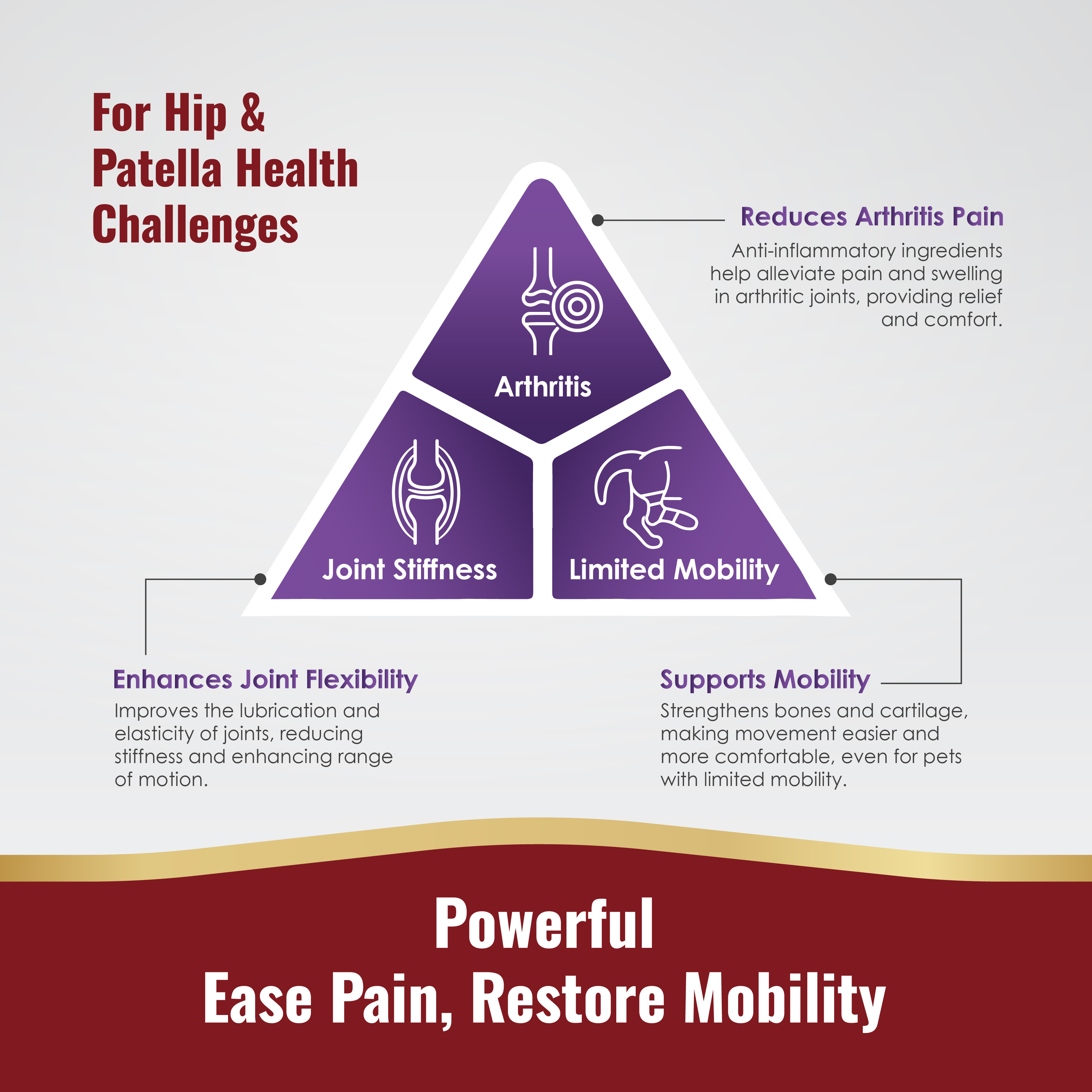 Predator Raw Life Hip & Joint Pet Supplement Boost Joint Pain ...