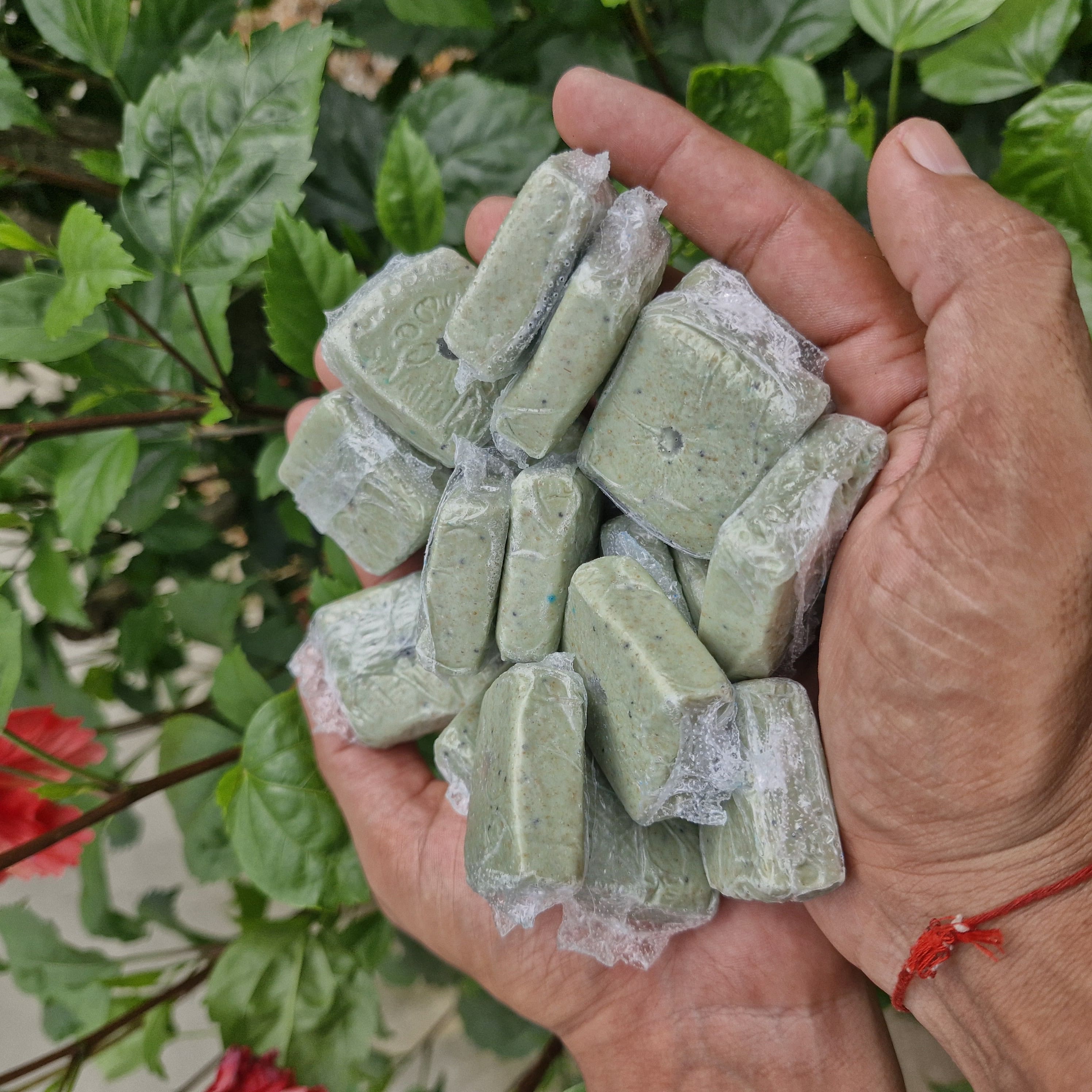 BASF Selontra Soft Bait Block Rodenticide 1pc Cholecalciferol Effective ...
