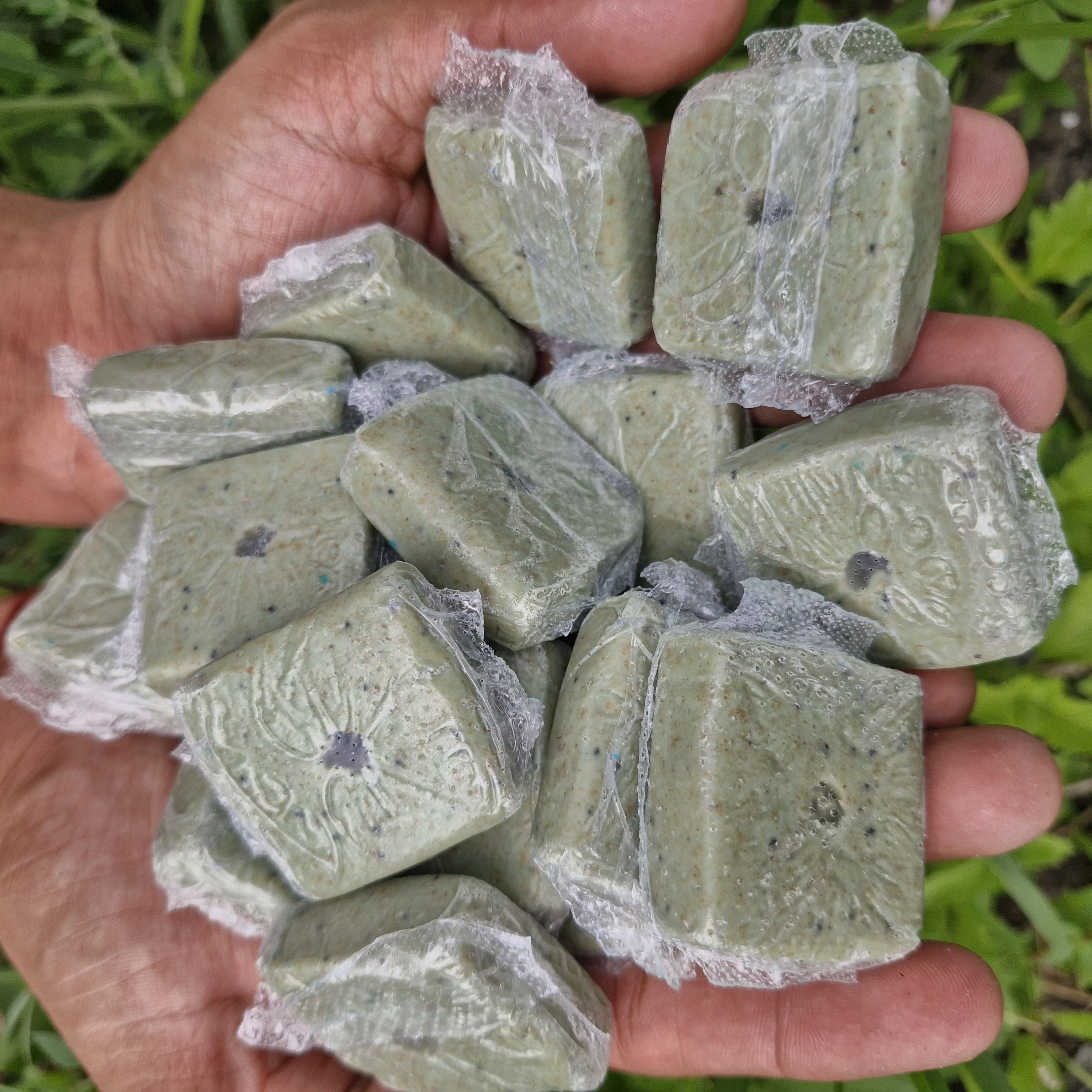 BASF Selontra Soft Bait Block Rodenticide 1pc Cholecalciferol Effective ...
