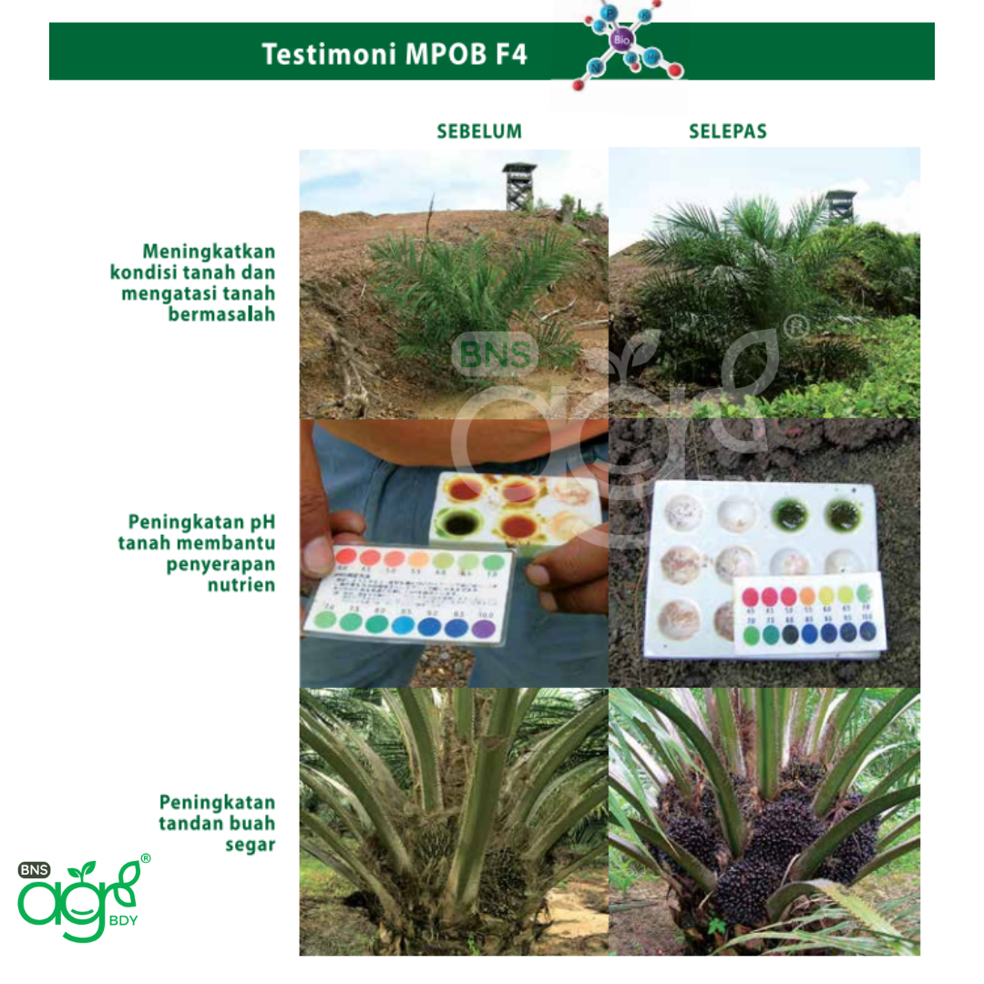 [25KG] AgroBuddy x Real Strong Baja Kelapa Sawit MPOB F4 Bio-Chemical ...