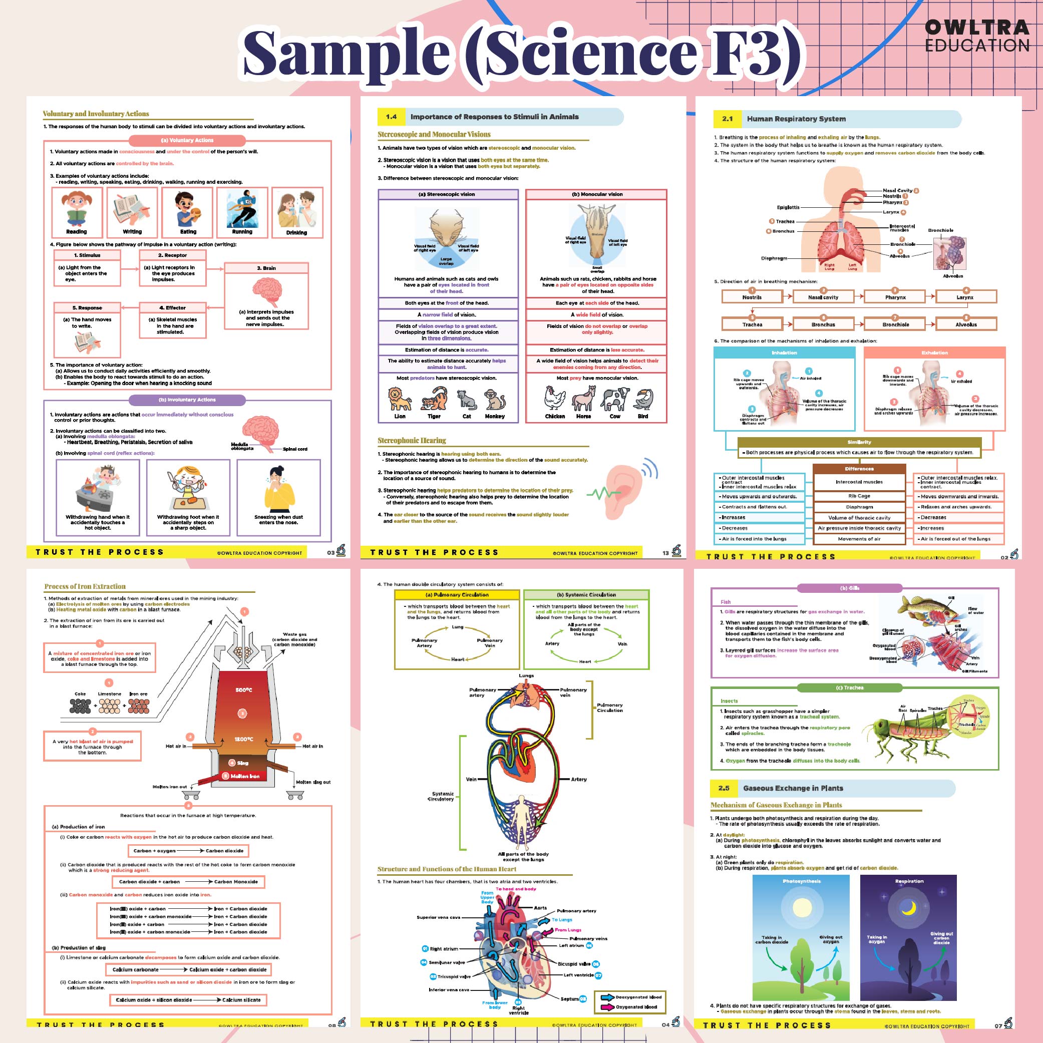 (PDF) Science DLP Nota SPM Skor A+ Tingkatan 1-5 Full Bab + FREE ...