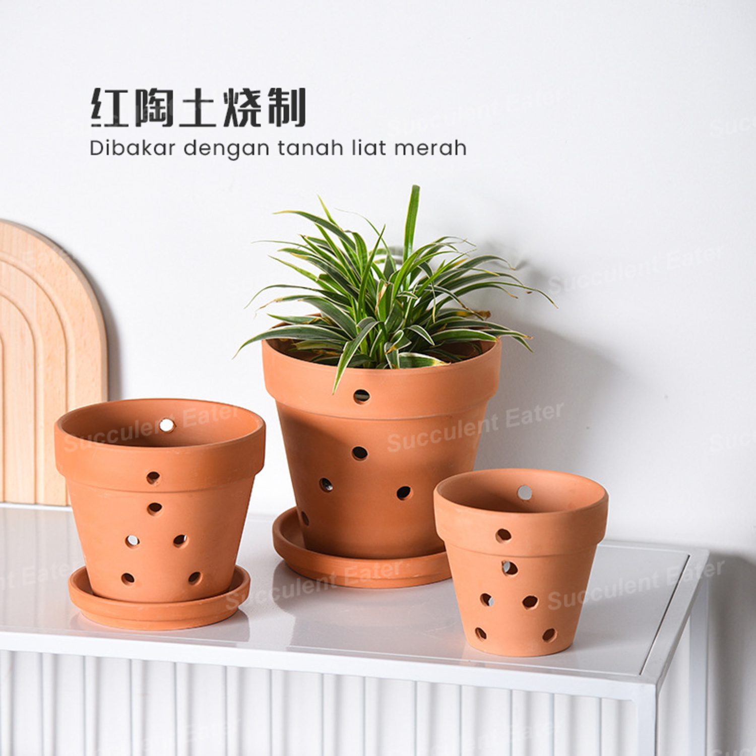 Terracotta Pot Ceramic Red Pottery Clay Pot Orchid Orkid Flower 红陶 兰花 ...