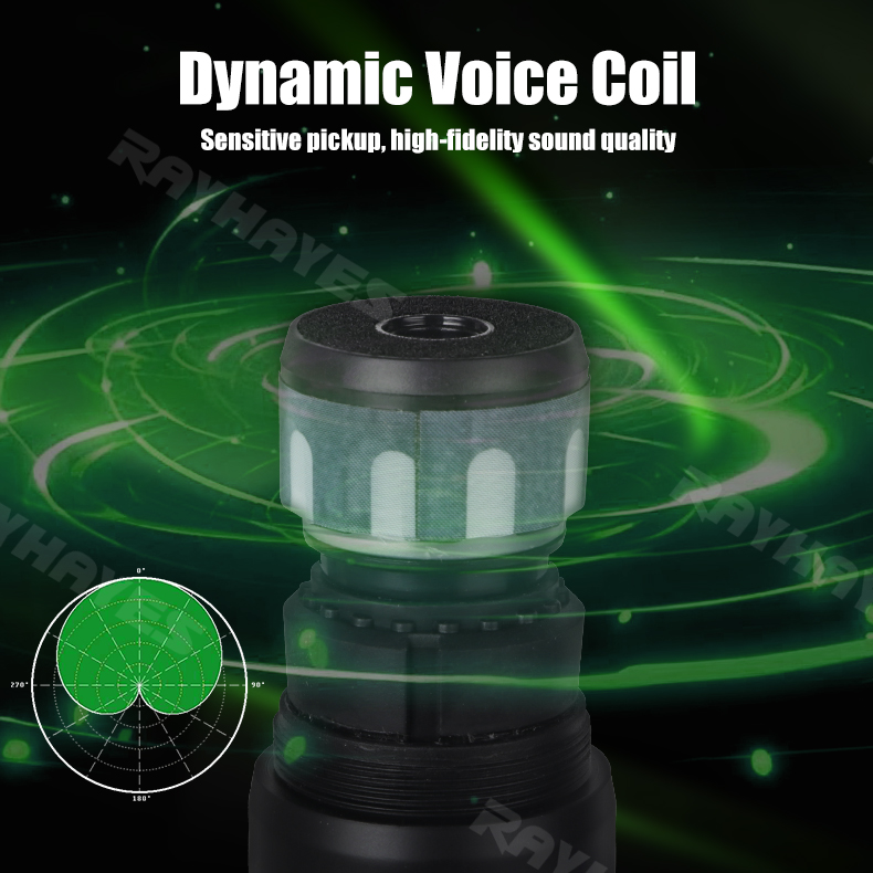 RAYHAYES Dual Microphone Wireless Adjustable Microphone Frequency ...