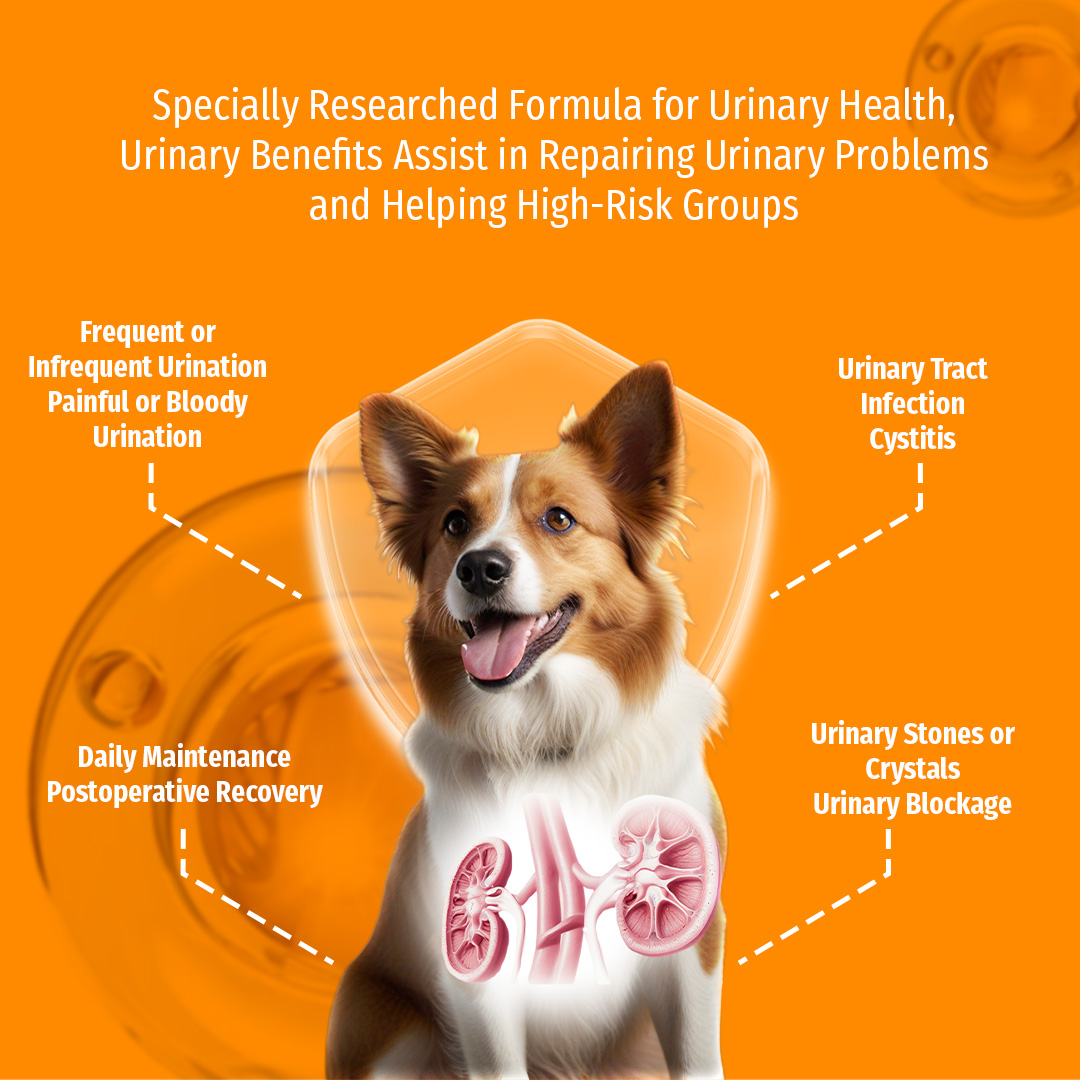 Cassiel Pet Kidney, Urinary Hematuria, Urinary Tract Nutritional ...