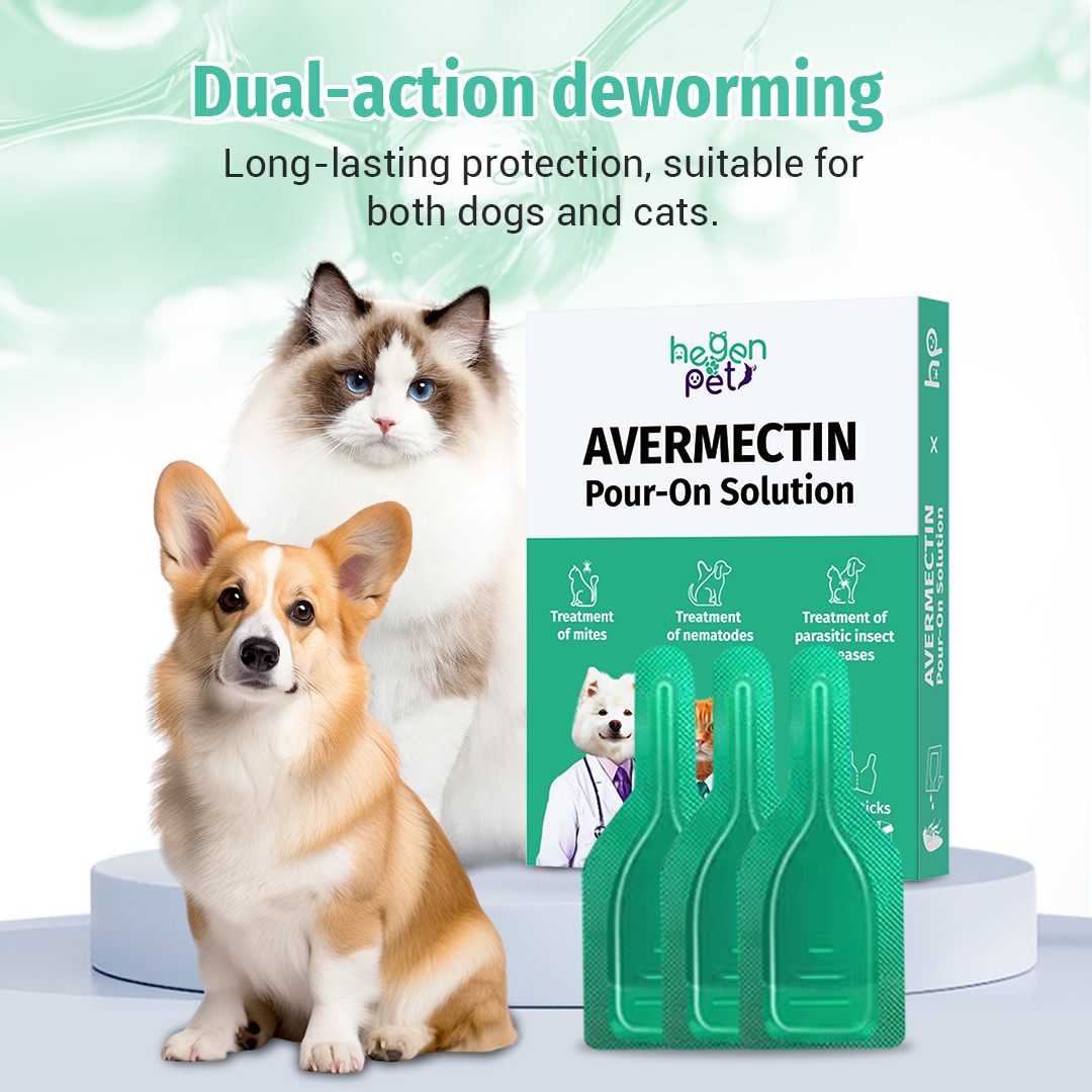 HEGEN PET Tick And Flea Spot Treatment For Cats & Dogs Repellent Anti ...