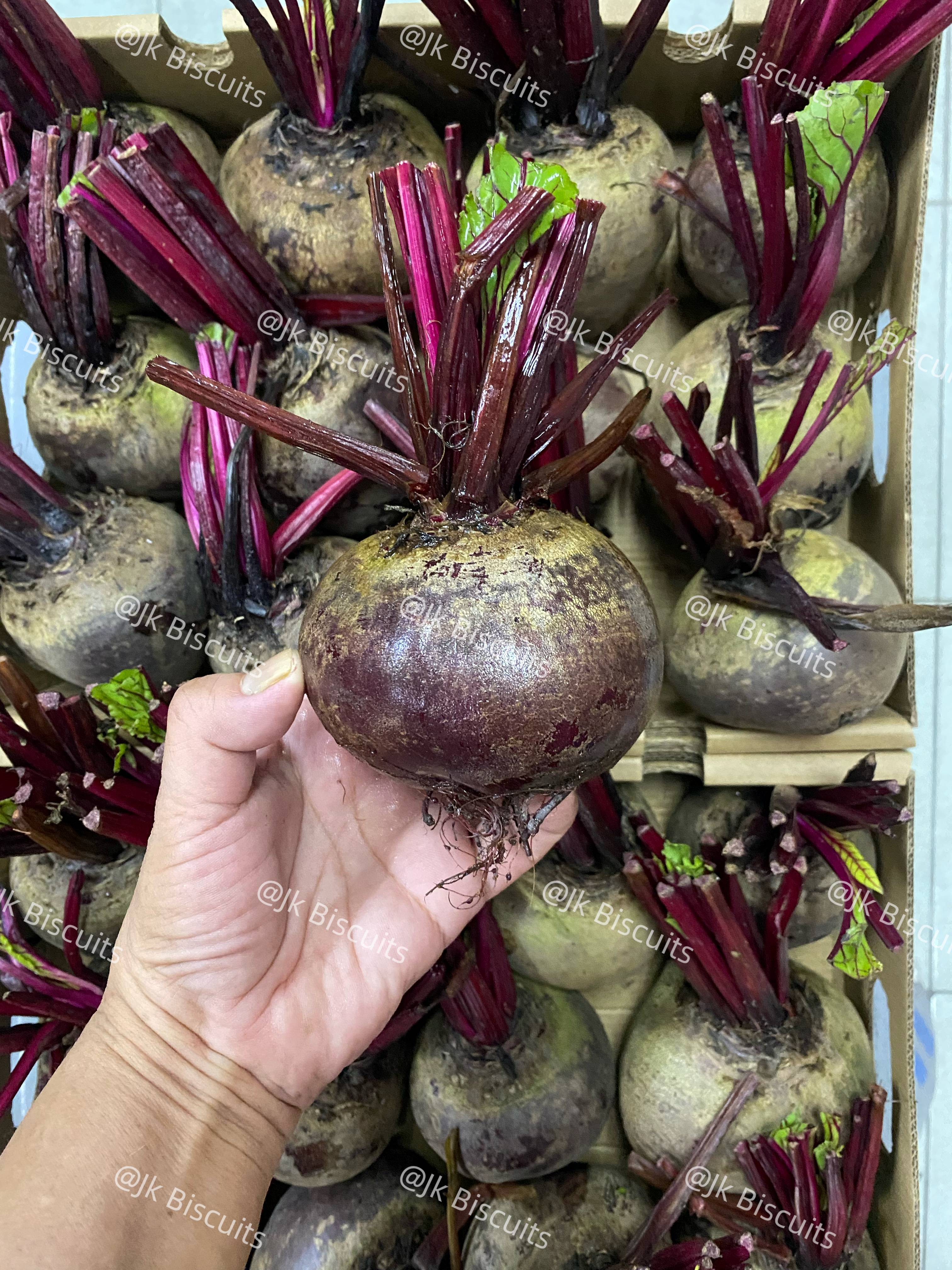 Beetroot Fruits（ Ubi Bit ） Fresh & Manis ( 1 KG ).新鲜甜美 甜菜根 👍👍👍 | Shopee ...