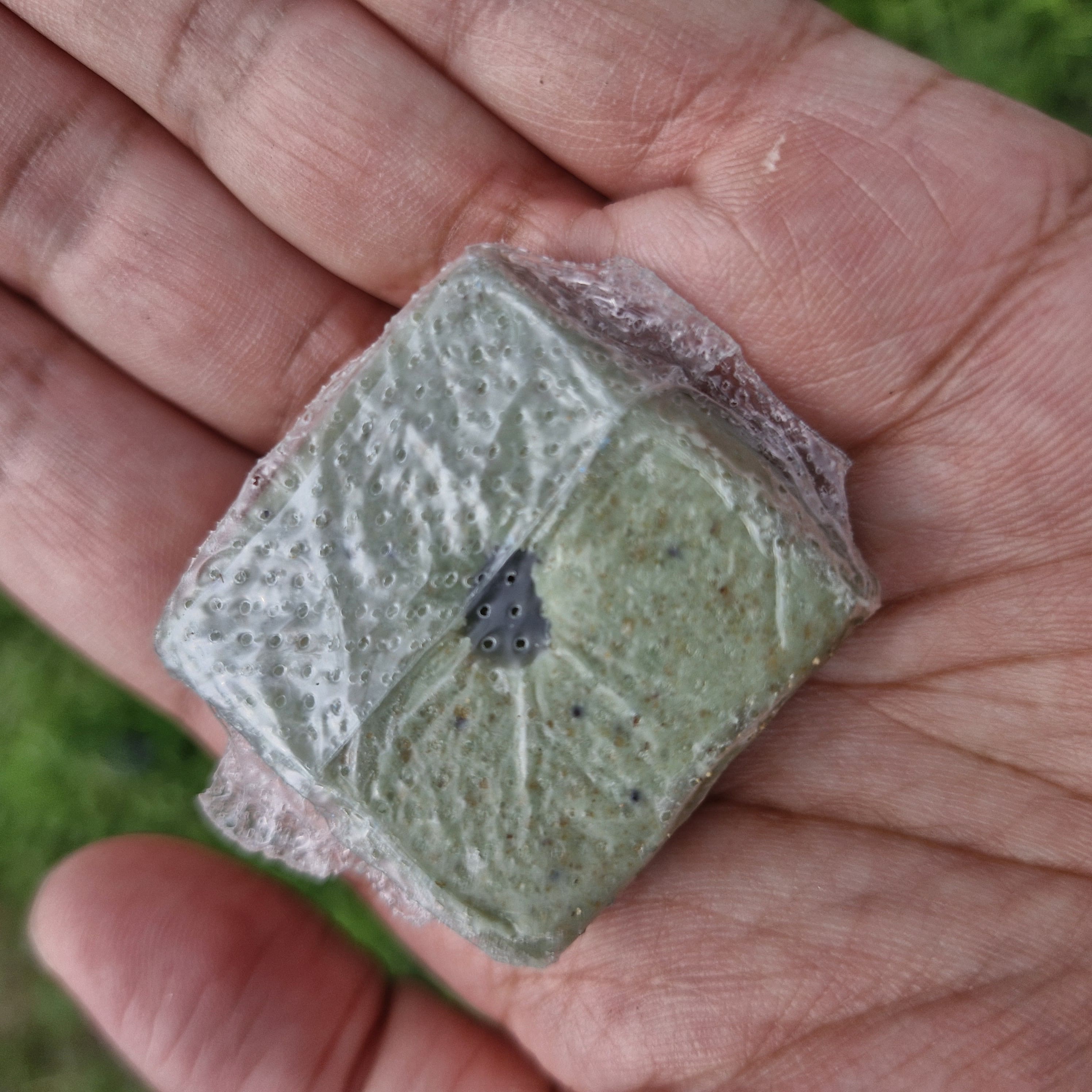 BASF Selontra Soft Bait Block Rodenticide 1pc Cholecalciferol Effective ...
