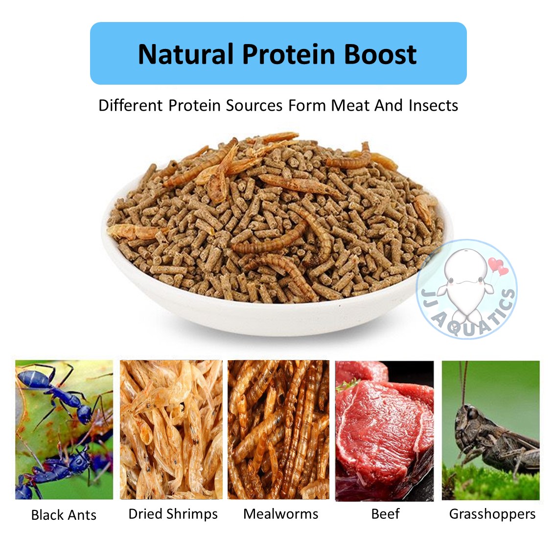 🔥Ready Stock🔥Jonsanty Luxury Myna Bird Food Assist Early Talking High ...