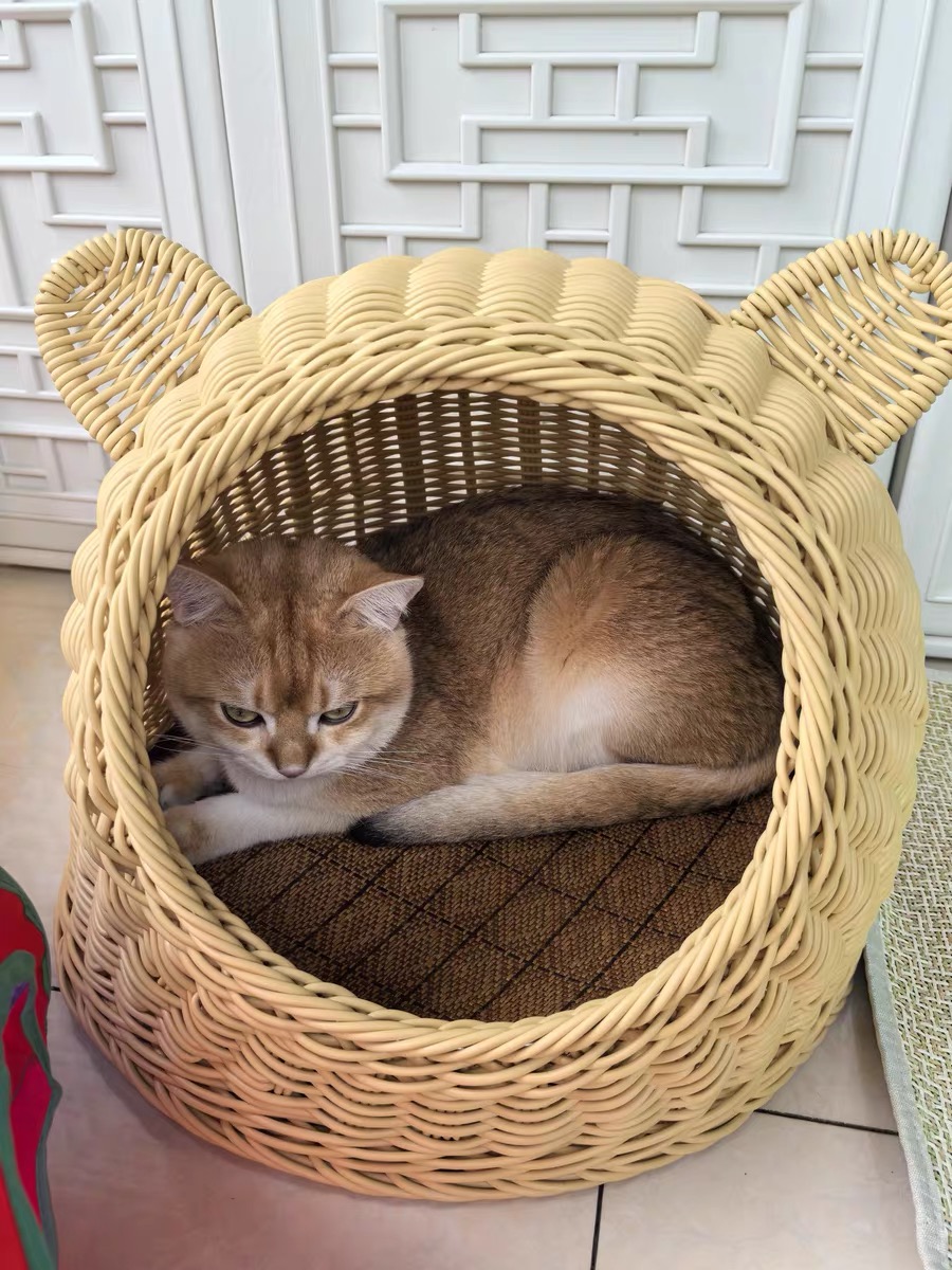 [NEW ARRIVAL] Cute Rattan Cat House/Rumah Kucing Rotan Comel Rotan PP ...