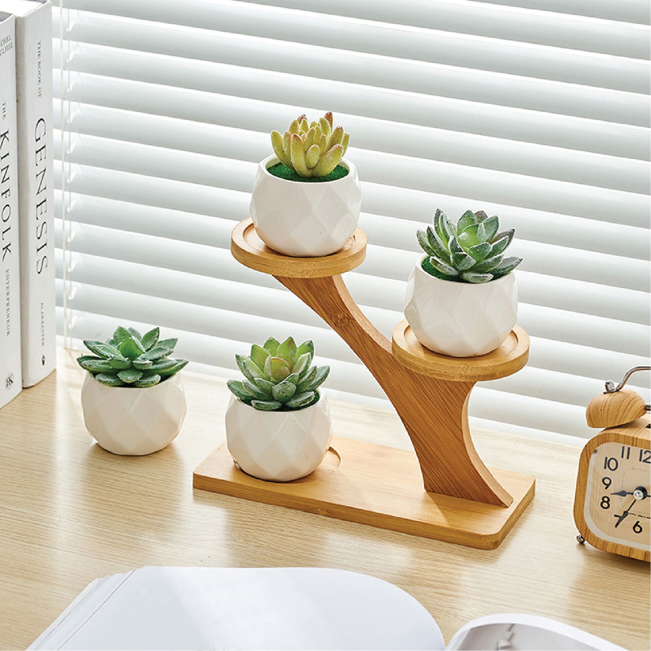 Bamboo Rack For Succulent Small Cactus Pot Rack Stand Bamboo Shelf ...