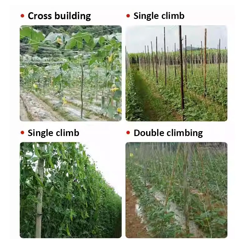 Melon Net Trellis Climbing Plants Support Garden Net Mesh Netting ...