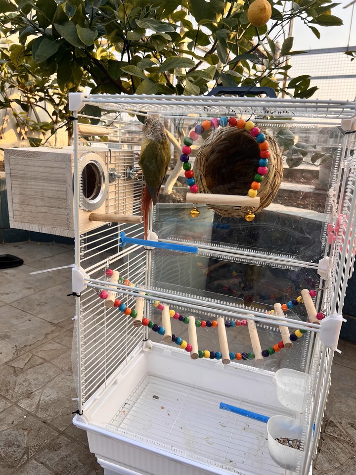 Extra-Large Luxury Bird Cage with Multiple Doors, Rolling Wheels, and ...