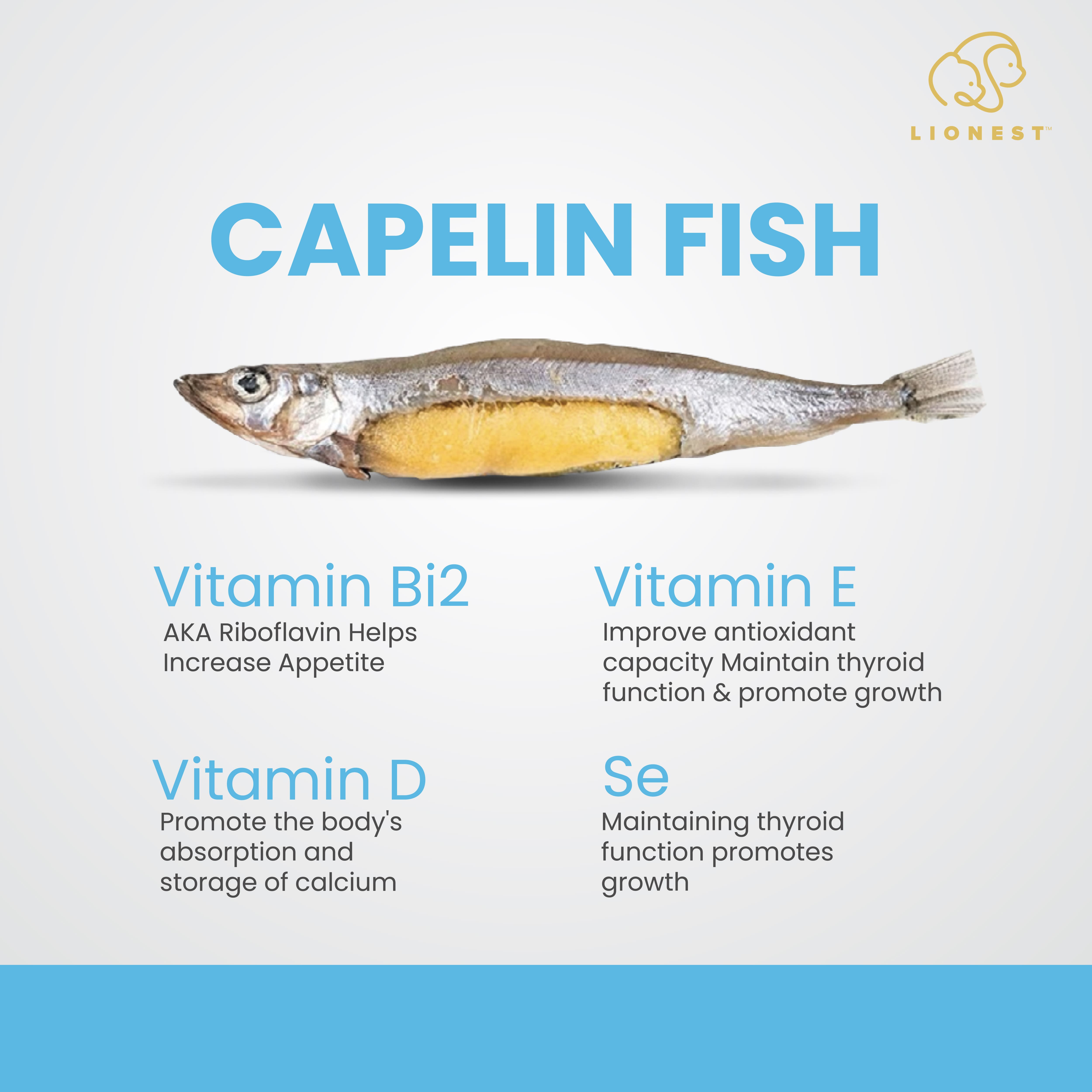 【Unique Flavor】LIONEST PETS Capelin Fish (100g) Power Pack | Omega-3 ...