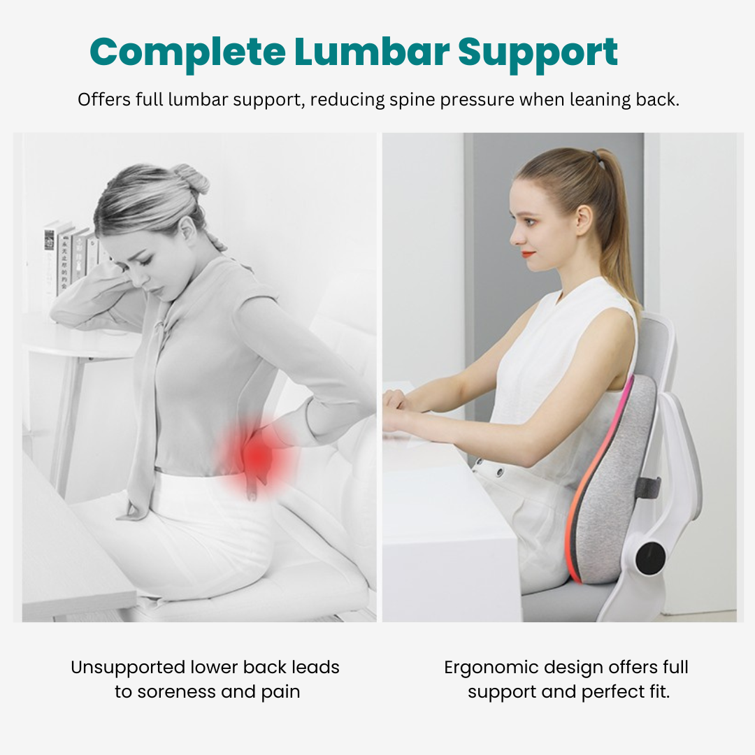 Spinalmate Premiere Ergonomic Spine Support Combo Cushion - Back Waist ...
