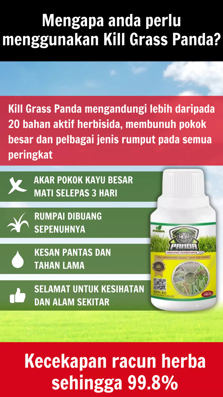 Racun Rumput Panda – Musnahkan Rumput dengan Cepat, Kuat dan Bersih ...