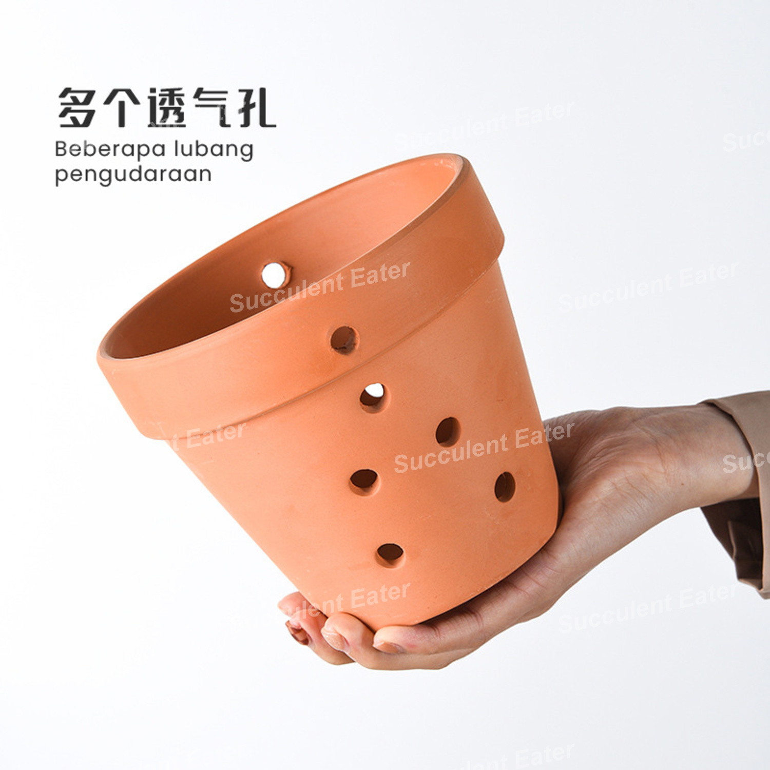 Terracotta Pot Ceramic Red Pottery Clay Pot Orchid Orkid Flower 红陶 兰花 ...
