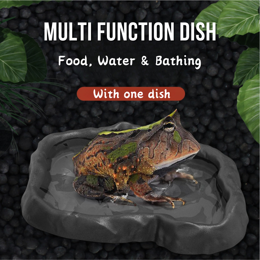 Image showcasing Nomoy Pet Reptile Feeding Dish Water Dish Food Bowl reptile Water bowl ...