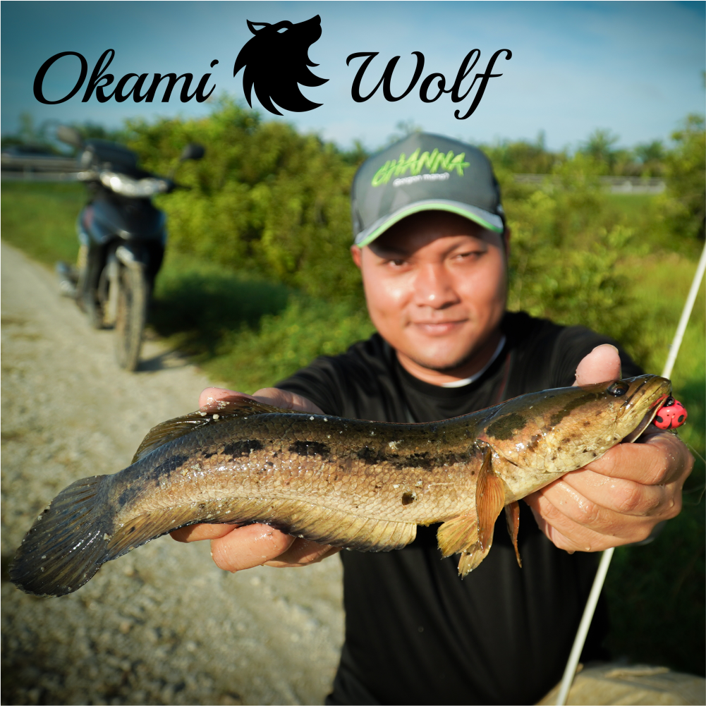 [ LIMITED FREE CAP ] EXP OKAMI WOLF 2 PCS Semi Light Fishing Rod Weight ...