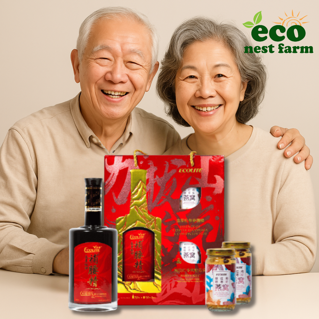 Pu Yao Jing Well Being Halal 虫草杜仲补腰精送礼佳品 | Shopee Malaysia