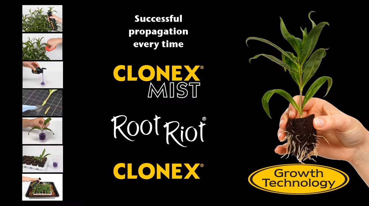 Growth Technology Clonex 300ml (Rooting Hormone Gel, Current Batch ...