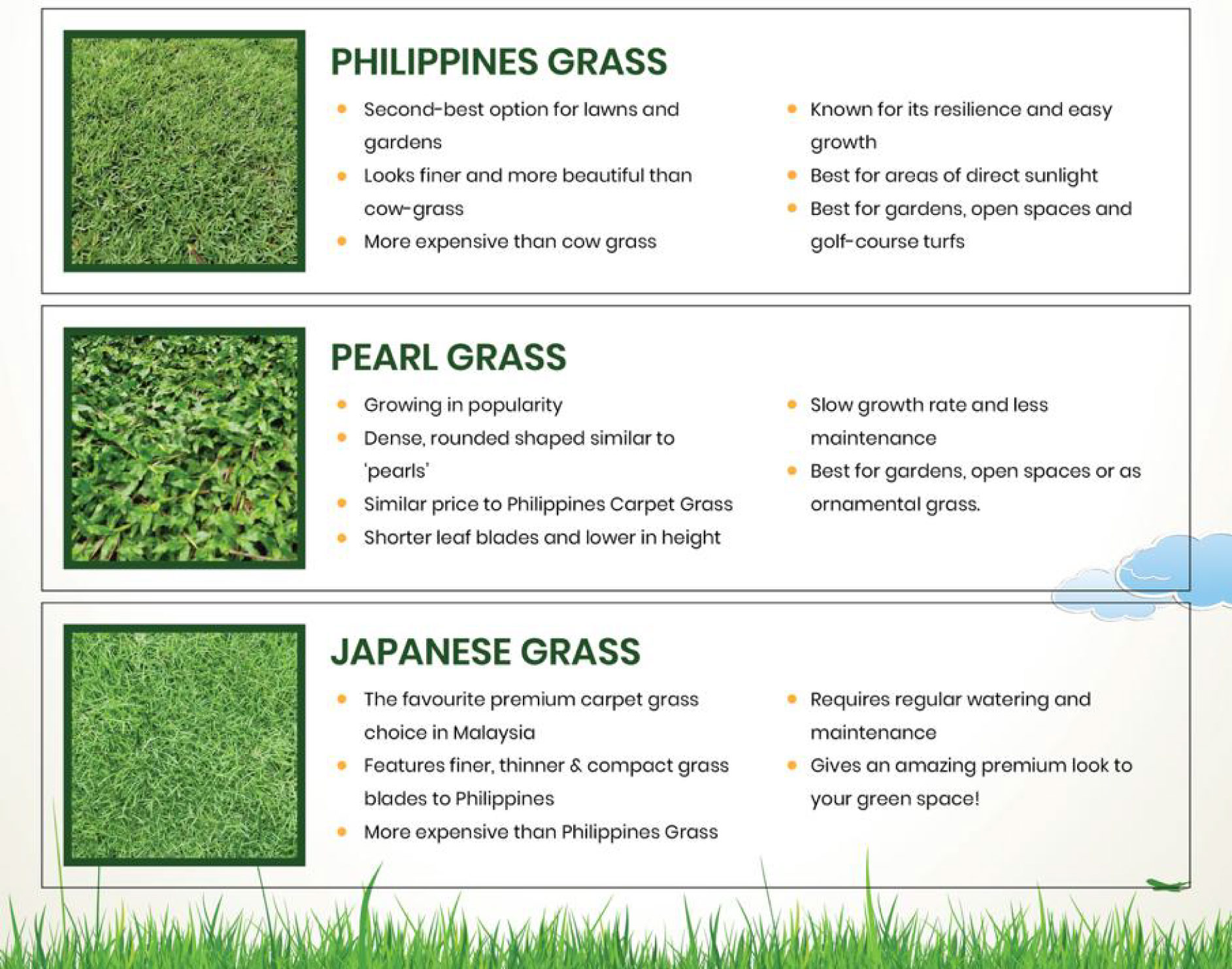 100GM Almix 20WP Dupont racun rumpai karpet / rumput carpet grass ...