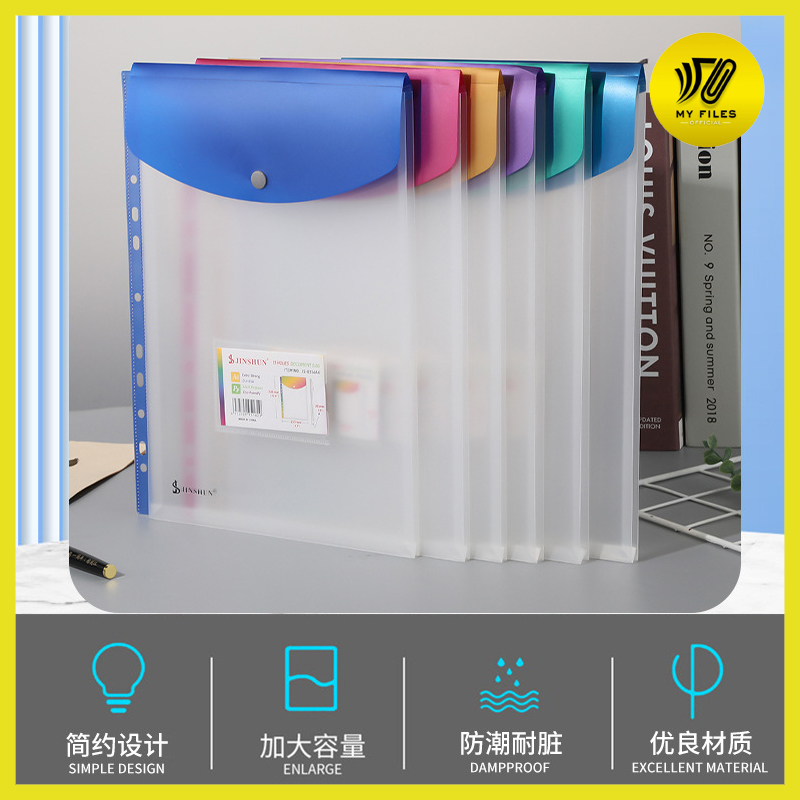 MYFILES 11 Holes Sheet Protector A4 Size Button Folder for 2D 3D 4D ...